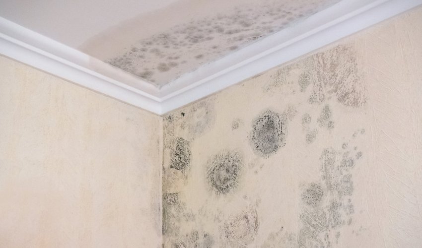 Instalación de Pladur antihumedad en un baño en Girona